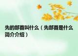 先的部首叫什么（先部首是什么简介介绍）