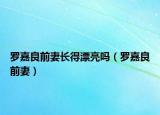 罗嘉良前妻长得漂亮吗（罗嘉良前妻）