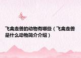 飞禽走兽的动物有哪些（飞禽走兽是什么动物简介介绍）