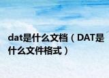 dat是什么文档（DAT是什么文件格式）