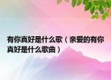 有你真好是什么歌（亲爱的有你真好是什么歌曲）