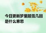 今日更新梦里踏雪几回是什么意思