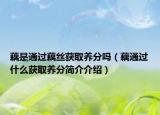 藕是通过藕丝获取养分吗（藕通过什么获取养分简介介绍）