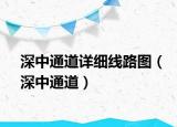 深中通道详细线路图（深中通道）