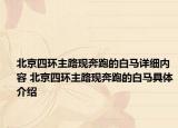 北京四环主路现奔跑的白马详细内容 北京四环主路现奔跑的白马具体介绍