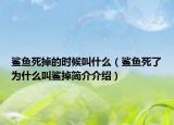 鲨鱼死掉的时候叫什么（鲨鱼死了为什么叫鲨掉简介介绍）