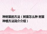 种树苗的方法（树苗怎么种 树苗种植方法简介介绍）