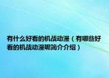 有什么好看的机战动漫（有哪些好看的机战动漫呢简介介绍）