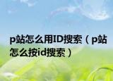 p站怎么用ID搜索（p站怎么按id搜索）