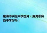 威海市实验中学图片（威海市实验中学好吗）