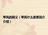 苹风的释义（苹风什么意思简介介绍）