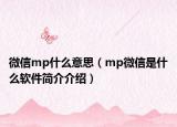 微信mp什么意思（mp微信是什么软件简介介绍）