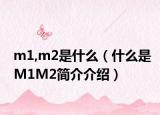 m1,m2是什么（什么是M1M2简介介绍）