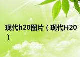 现代h20图片（现代H20）