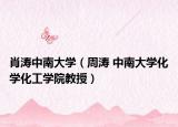 肖涛中南大学（周涛 中南大学化学化工学院教授）