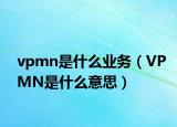 vpmn是什么业务（VPMN是什么意思）