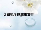 计算机全球应用文件