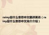 rainy是什么意思中文翻译英语（rainy是什么意思中文简介介绍）