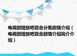 电视剧绽放吧百合分集剧情介绍（电视剧绽放吧百合剧情介绍简介介绍）