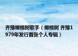 齐豫橄榄树歌手（橄榄树 齐豫1979年发行首张个人专辑）