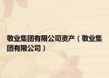 敬业集团有限公司资产（敬业集团有限公司）