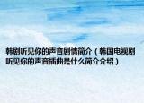 韩剧听见你的声音剧情简介（韩国电视剧听见你的声音插曲是什么简介介绍）