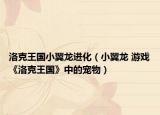 洛克王国小翼龙进化（小翼龙 游戏《洛克王国》中的宠物）