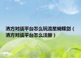 浩方对战平台怎么玩流星蝴蝶剑（浩方对战平台怎么注册）