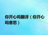 你开心吗翻译（你开心吗意思）
