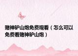 赌神驴山炮免费观看（怎么可以免费看赌神驴山炮）
