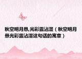 秋空明月悬,光彩露沾湿（秋空明月悬光彩露沾湿这句话的寓意）