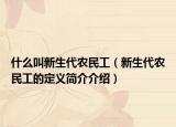 什么叫新生代农民工（新生代农民工的定义简介介绍）