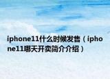 iphone11什么时候发售（iphone11哪天开卖简介介绍）