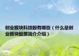 创业板块科技股有哪些（什么是创业板块股票简介介绍）
