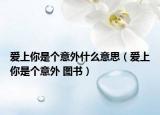 爱上你是个意外什么意思（爱上你是个意外 图书）