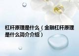 杠杆原理是什么（金融杠杆原理是什么简介介绍）