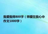 我爱我师800字（师爱在我心中作文1000字）
