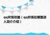qq农场攻略（qq农场在哪里进入简介介绍）