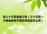 投入十万买基金三年（三十万买一只基金放着不管五年后会怎么样）