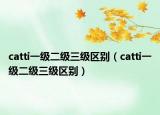 catti一级二级三级区别（catti一级二级三级区别）