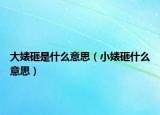 大婊砸是什么意思（小婊砸什么意思）