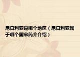 尼日利亚是哪个地区（尼日利亚属于哪个国家简介介绍）