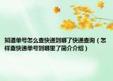 知道单号怎么查快递到哪了快递查询（怎样查快递单号到哪里了简介介绍）