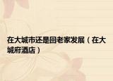 在大城市还是回老家发展（在大城府酒店）
