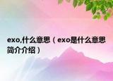 exo,什么意思（exo是什么意思简介介绍）