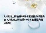 3人嘴馋上树偷摘84斤水蜜桃被拘详细内容 3人嘴馋上树偷摘84斤水蜜桃被拘具体介绍