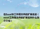 在Excel中工作簿文件的扩展名是（excel工作簿文件的扩展名叫什么简介介绍）