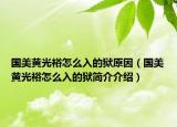 国美黄光裕怎么入的狱原因（国美黄光裕怎么入的狱简介介绍）