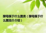 酵母属于什么菌类（酵母属于什么菌简介介绍）