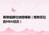椴嶅媰鑻忔媺闆嗛敠（鲍勃苏拉的NBA经历）
